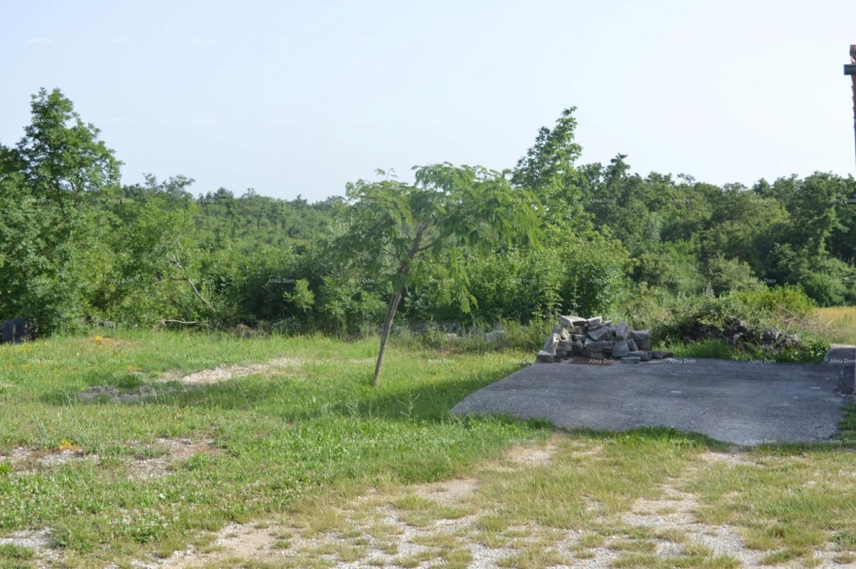 Рядом с Марчаной, дом на большом участке 26000 м2. 10