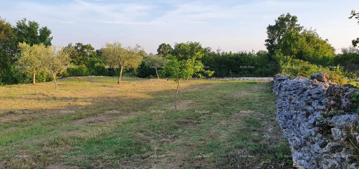 Эемля Marčana 5