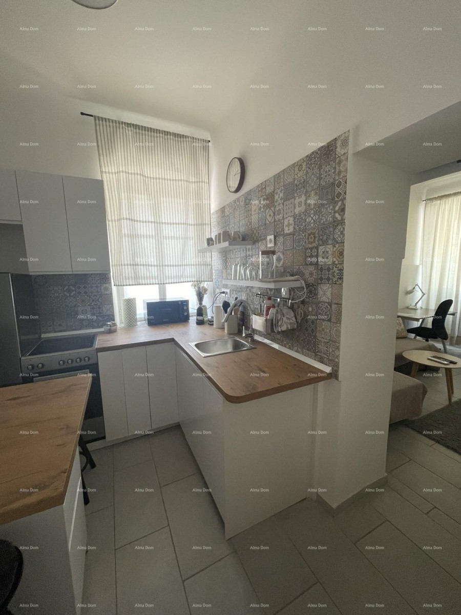 Furnished apartment 45 m2 on the ground floor in the center of Pula 8