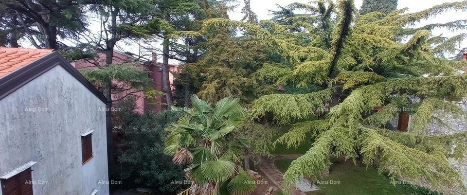 Prodaja stana u centru stare jezgre, Novigrad! 1