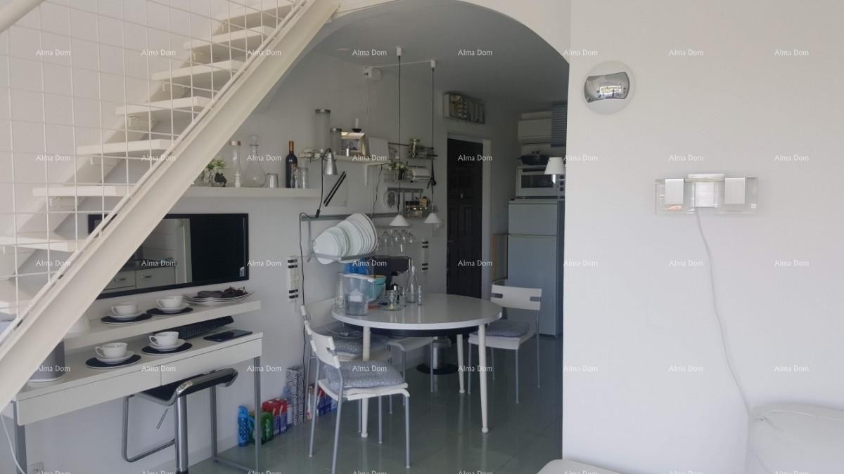 Apartment Novigrad 4