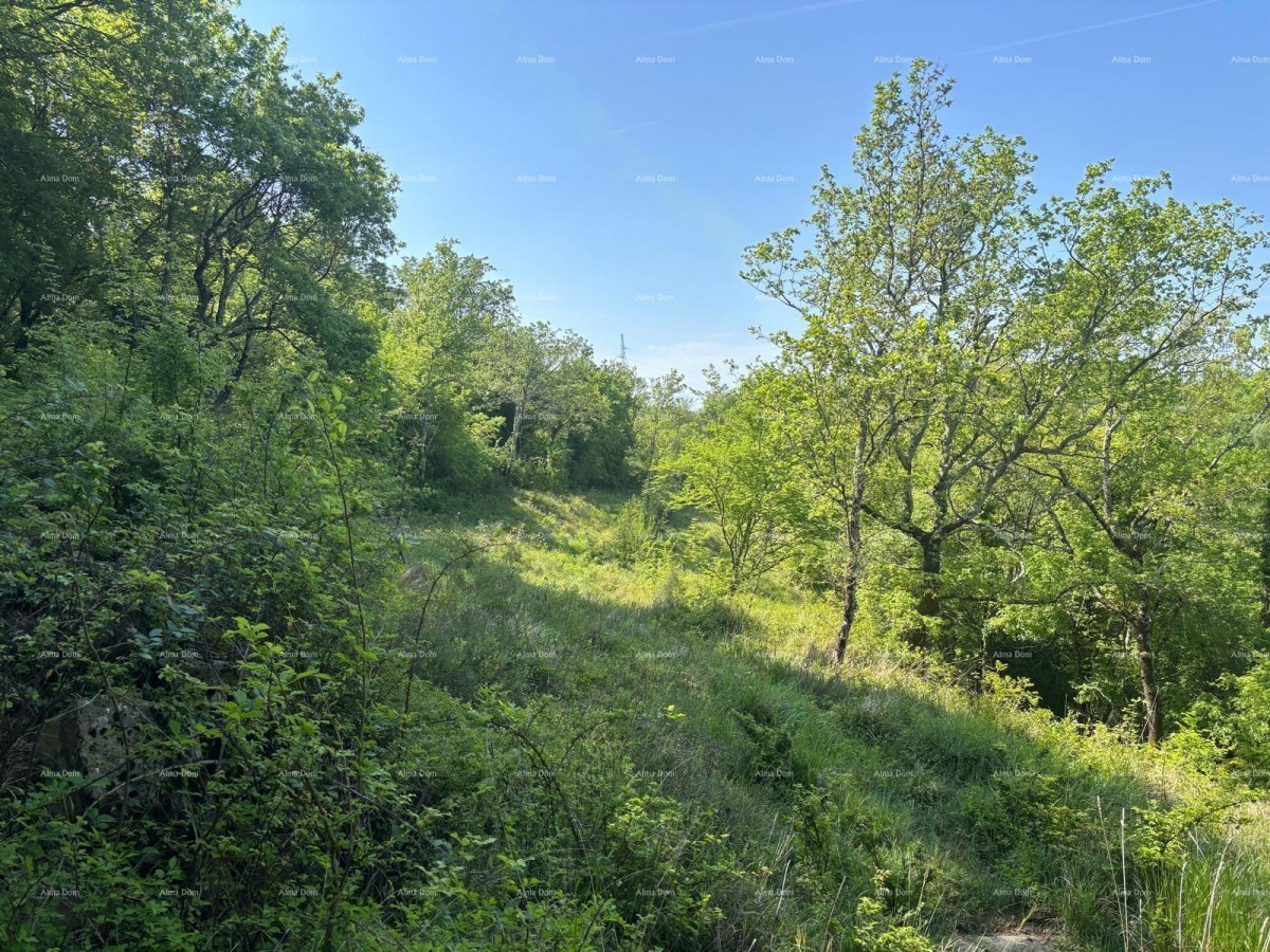 Vendita - terreno combinato con permesso di costruzione e vista mare, Grožnjan! 8