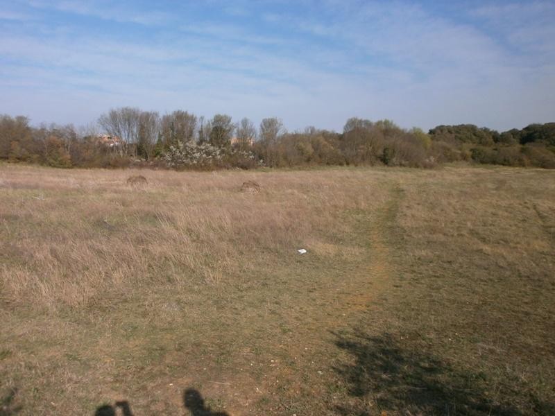 PULA - Grande terreno per la costruzione di una casa famigliare o la villa. 3