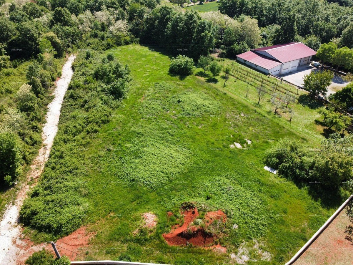 BARBAN - Gradbeno zemljišče s projektom (polovica dvojne hiše), 15 minut od morja 9