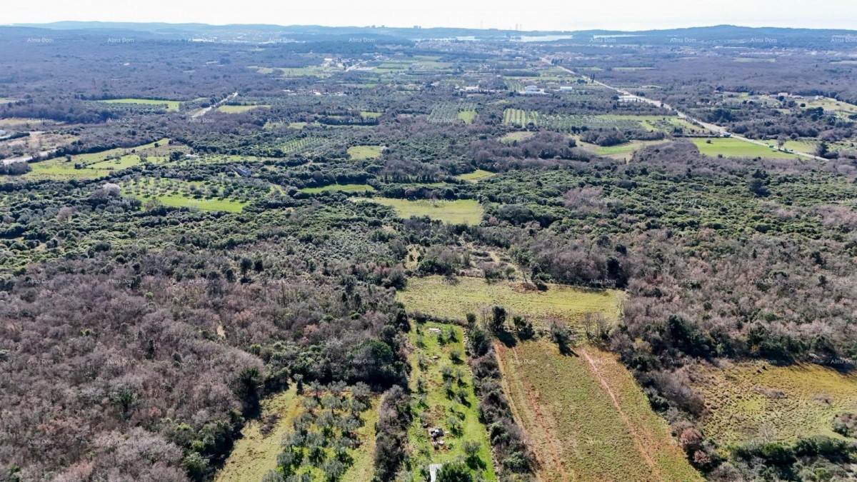 GALIŽANA - Prodaje se veliko poljoprivredno zemljište – 20.498 m², odlična lokacija 4