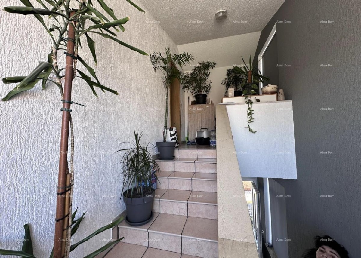 House with permission to build 4 apartments! 20