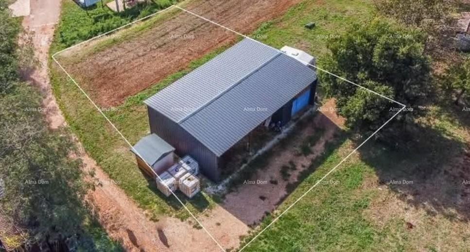 Prodaja - gradbeno zemljišče z idejnim projektom v bližini Karigadora, Brtonigla! 3