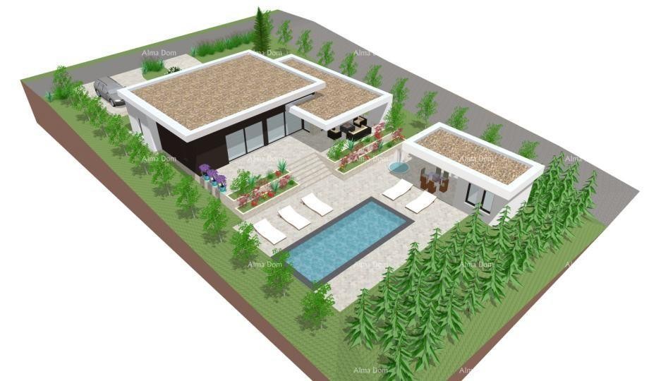 Plot Sveta Nedelja 1