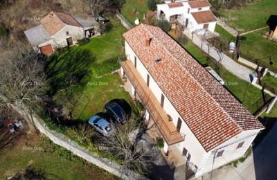 We are selling a large detached house with a spacious yard!