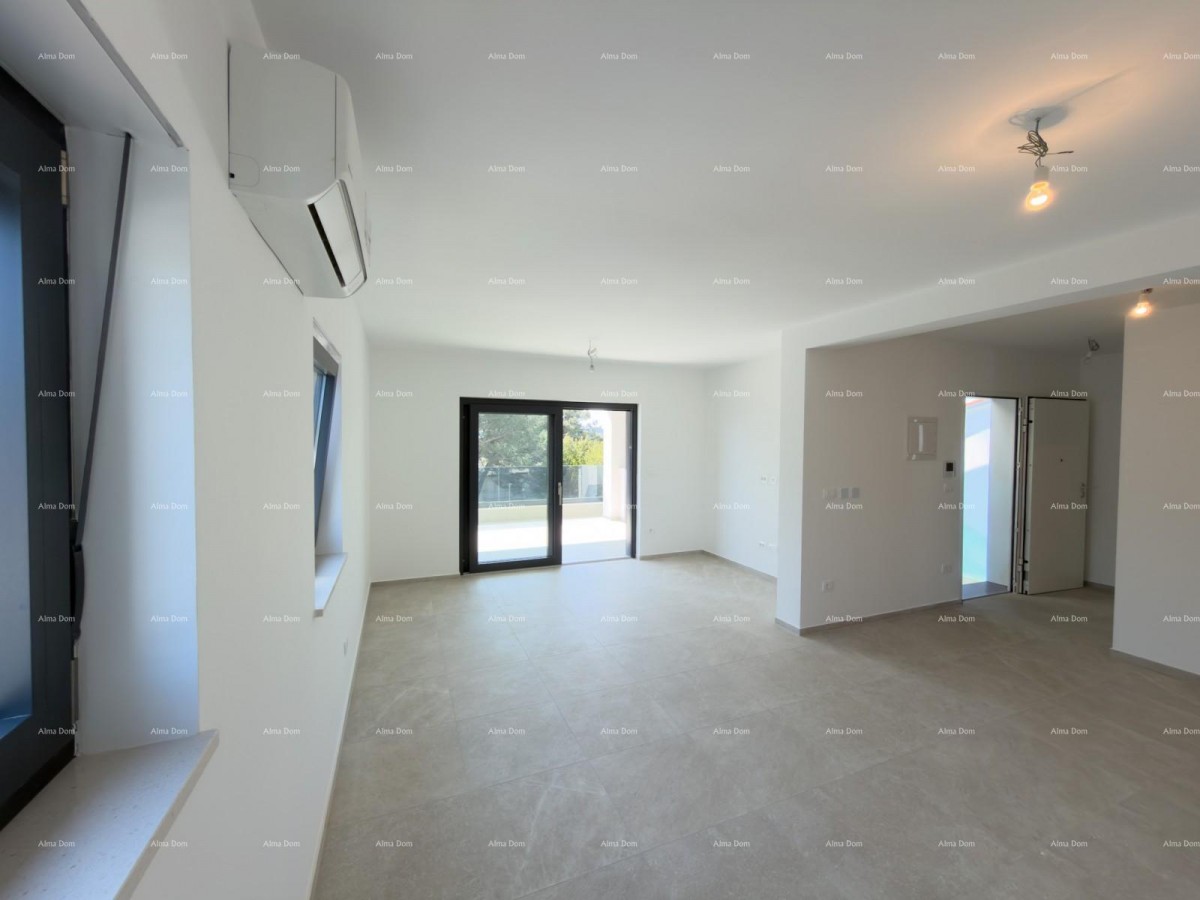 The translation of the title 8