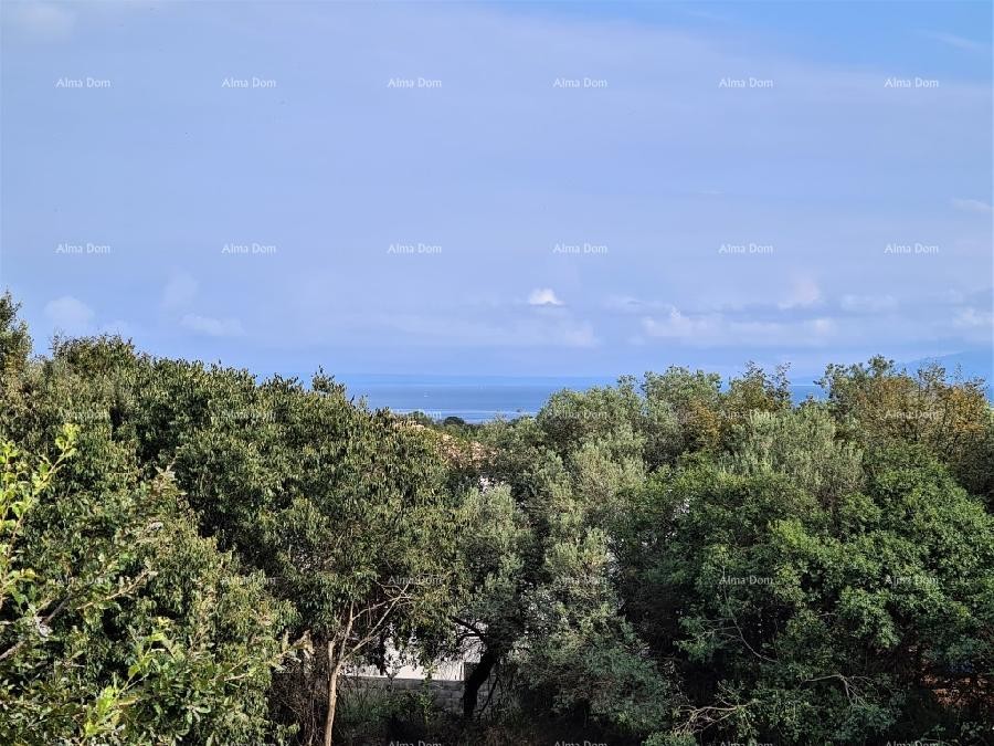 Ližnjan u prodaji  jedna velika i jedna mala kuća. 23