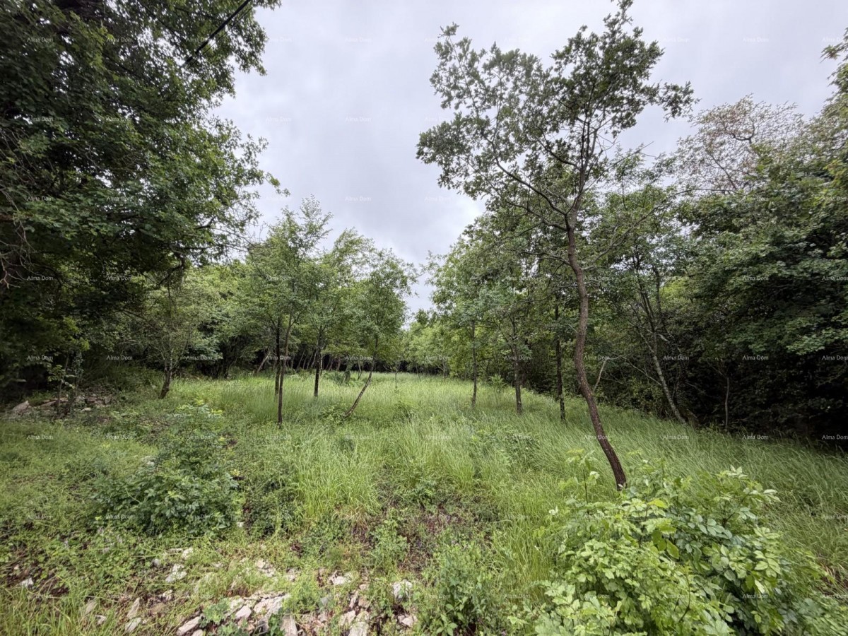 Buje – građevinsko zemljište 1.086 m² s pogledom na more 7