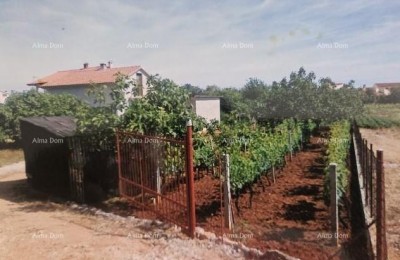 Prodaja samostojeće kuće u Fažani.