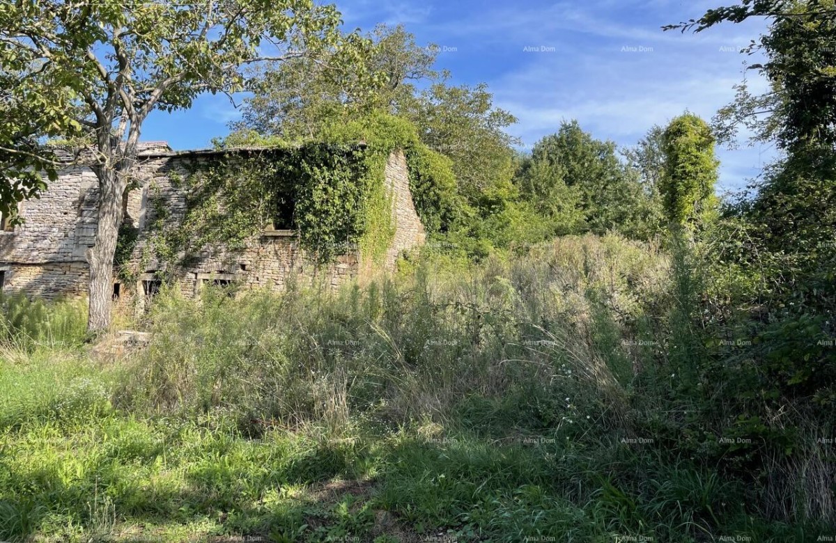 Prodaja - kamena istrska kuća za renovaciju s velikim zemljištem, Oprtalj! 3