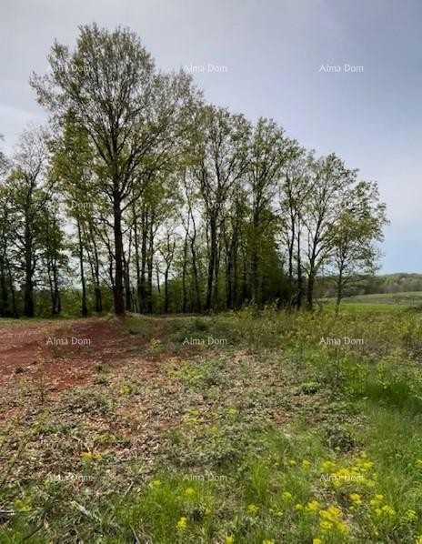 Продается строительный участок с проектом – Барбан (1.010 м²) 3