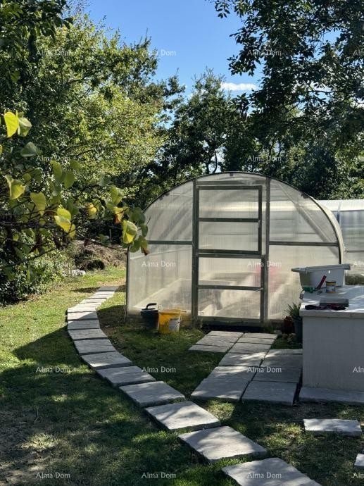 Прекрасный участок земли продается, окруженный лесами и виноградниками, с видом на Грачишће и Учку! 12