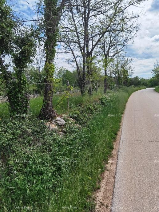 Excellent building land for investment. 8