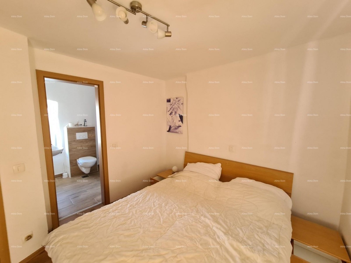 Ližnjan, Istrian renovated house! 47