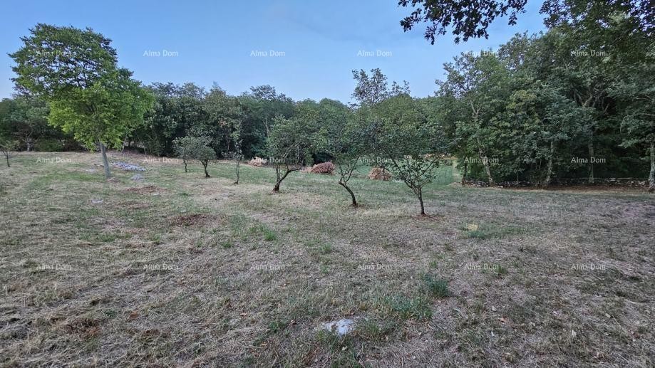 Строительная земля в Тиньяне (Истрия), 3.623 м² 5