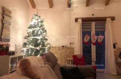 Kamena vila s dodatnim apartmanom i konobom , Sveti Lovreč