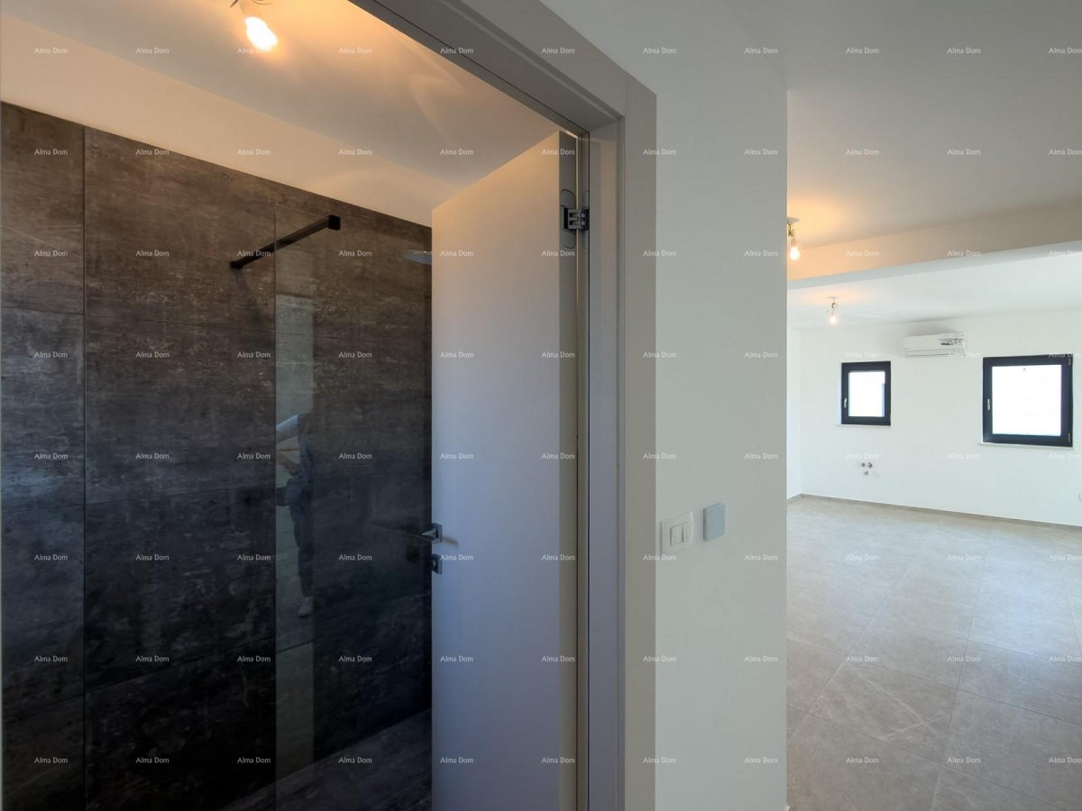 The translation of the title 3