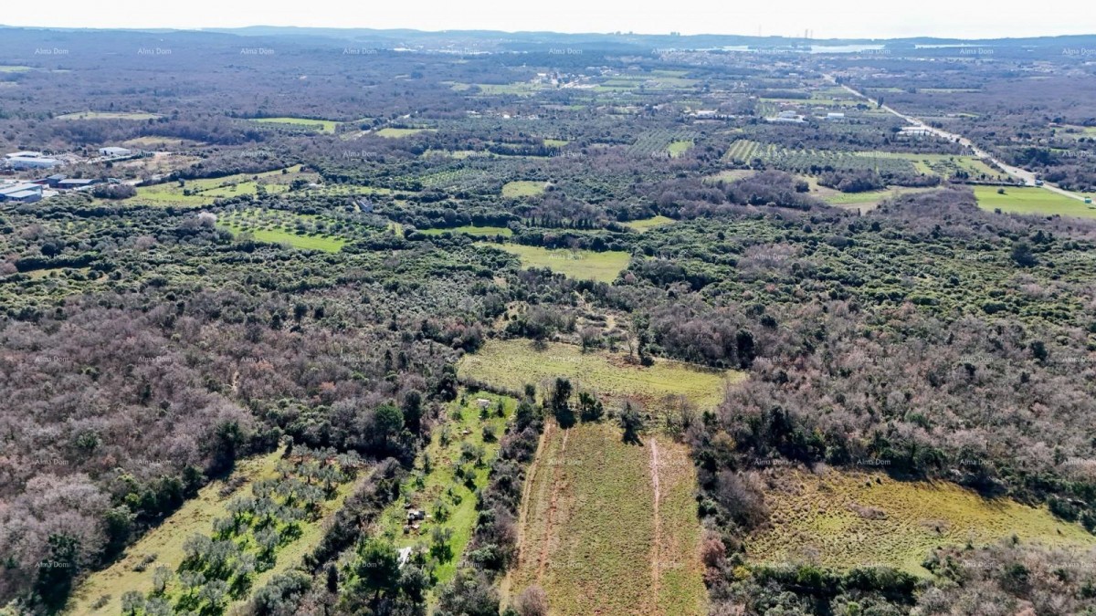 GALIŽANA - Prodaje se veliko poljoprivredno zemljište – 20.498 m², odlična lokacija 5