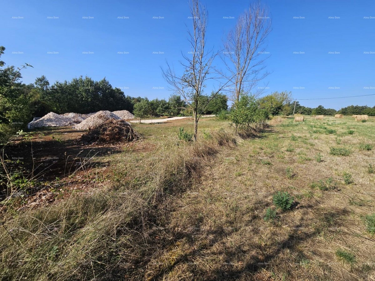 Prodaja građevinskog zemljišta, Žminj 5