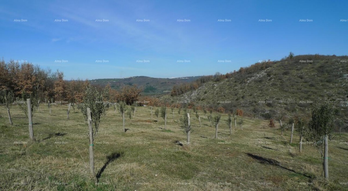 Momjan – sale of construction land in an excellent location. 4