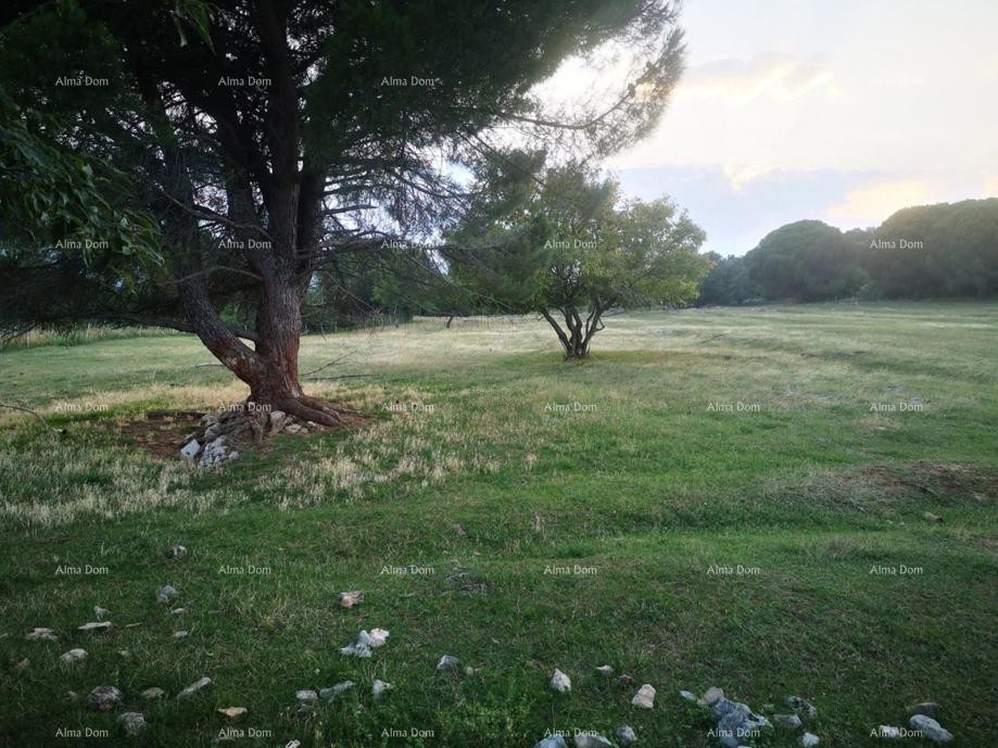 SVETI MARTIN, TERRENO EDILIZIO DI 1.031 m² CON PERMESSO EDILIZIO 6