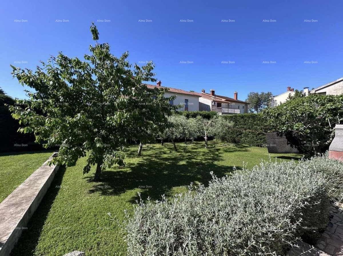 House with permission to build 4 apartments! 13