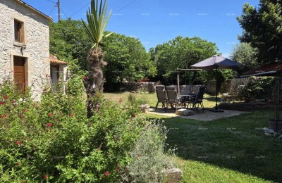 KRNICA, Istrian Stone House 170 m² with 2 Apartments, a Flat, and a Large Yard