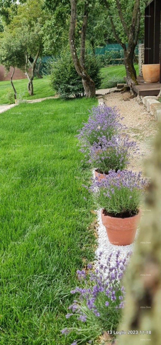 Sale - Newly Built Villa - Barban! 11