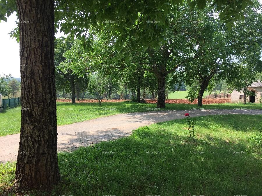 Vicino a Parenzo! Terreno edificabile con 39.000 m2 agricoli! 1