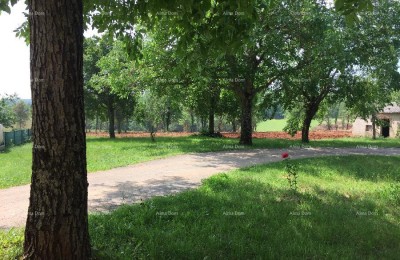 Blizina Poreča ! Građevinsko zemljište sa poljoprivrednim 39.000 M2!