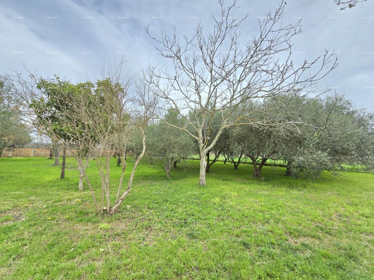 Prostrana hiša blizu Pule! Dva stanovanja - 2500 m² zemljišča! 14