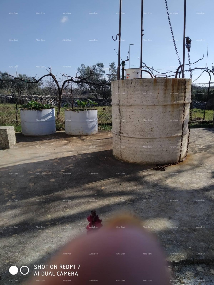 House Svetvinčenat 5