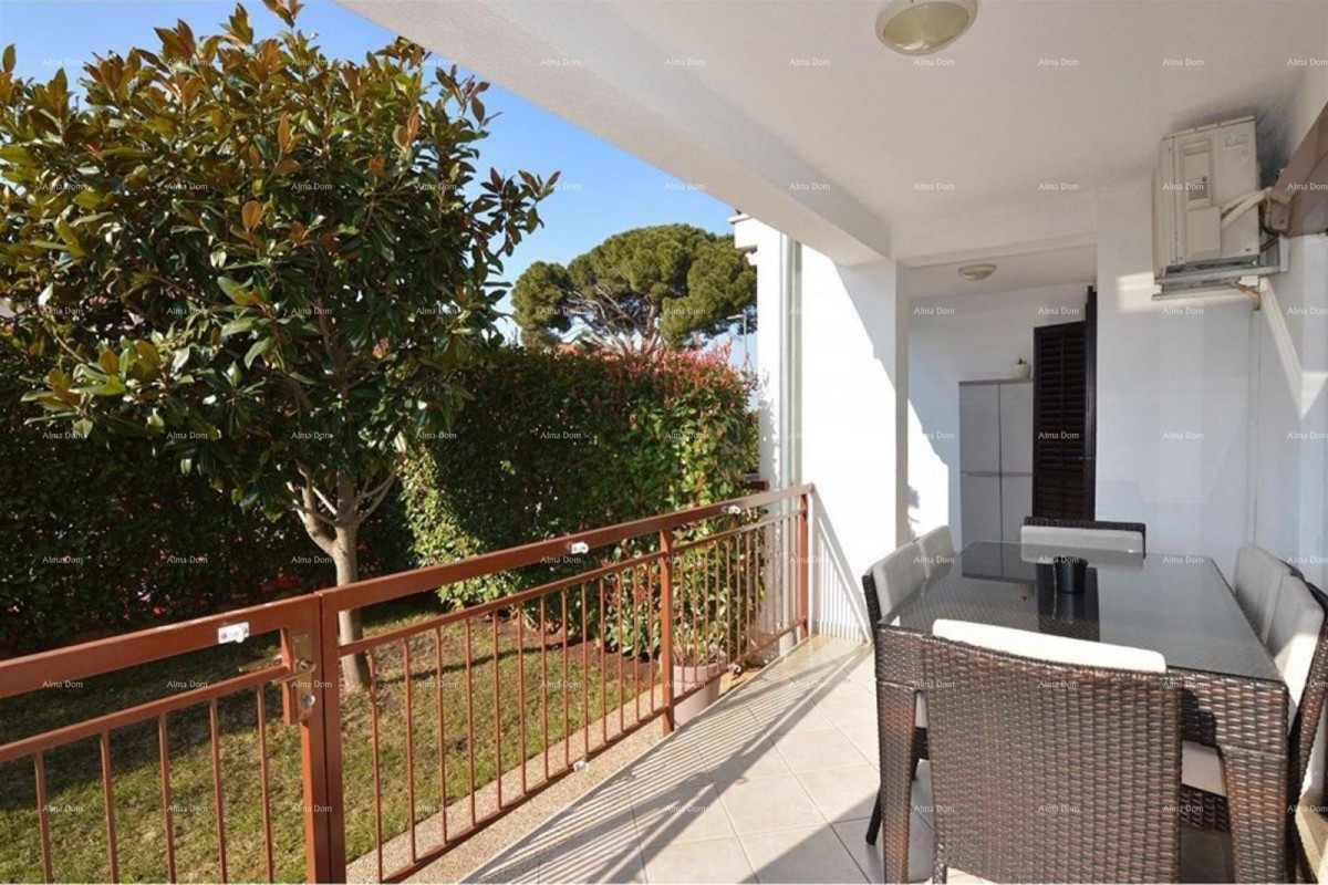 Prostrano stan s dvorištem, Tar 1