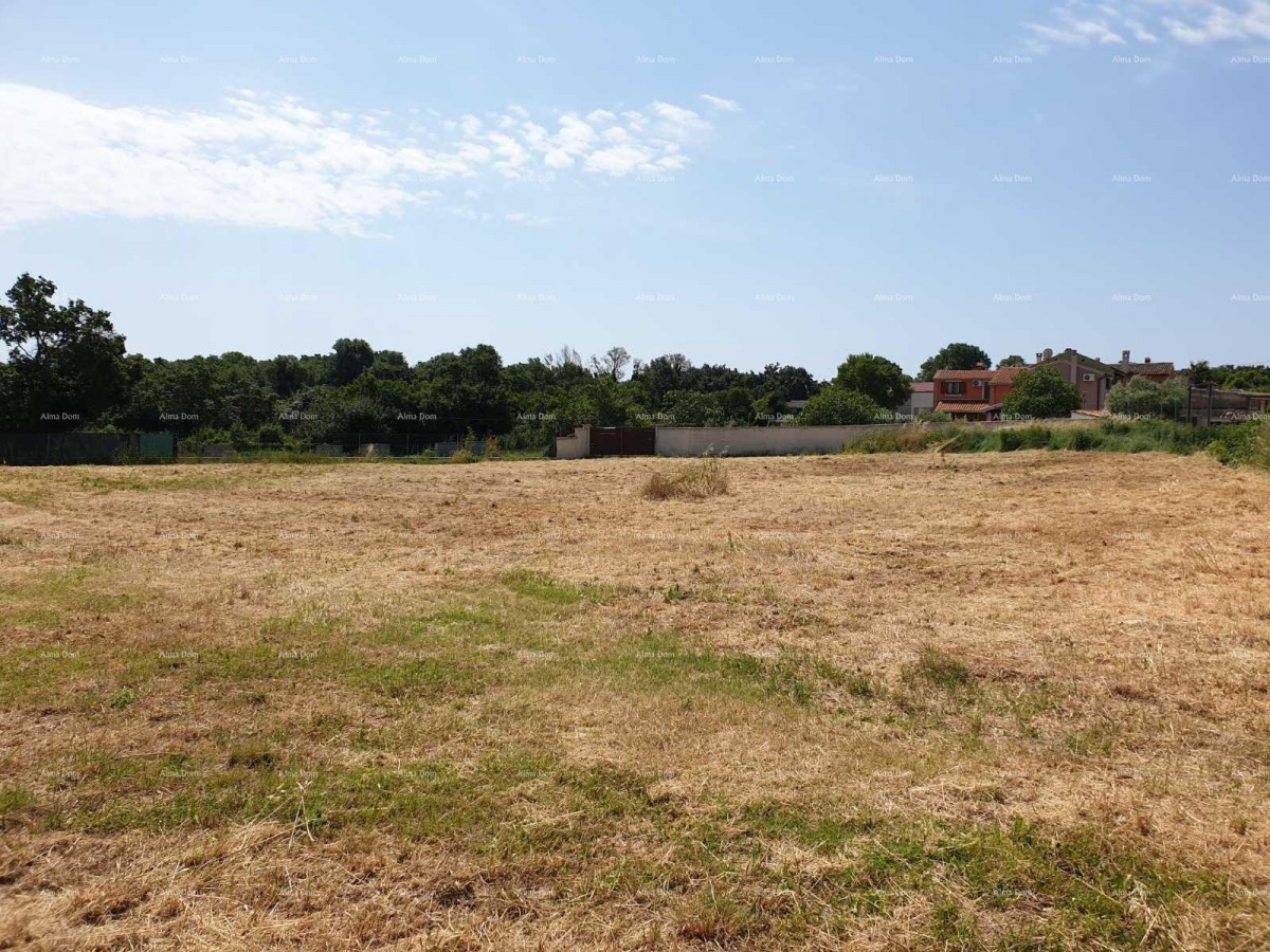 Prostrana gradbena parcela velikosti 1700 m² v Šišanu - idealna priložnost za vaš dom ali naložbo 2