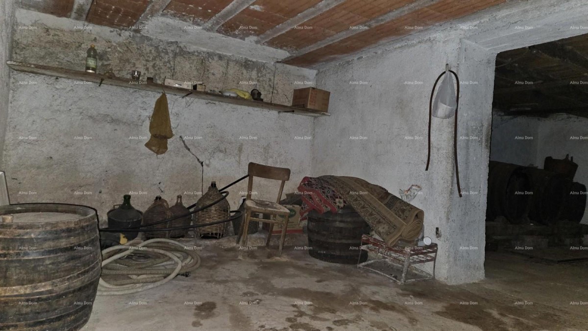 ŽMINJ (surroundings) - excellent stone house with a yard 14