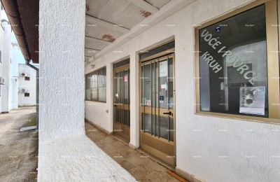 APPARTAMENTO AL PIANO TERRA DELLA PALAZZINA