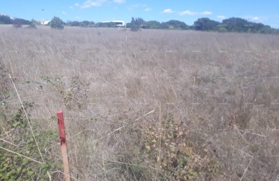 Terreno edificabile in vendita vicino a Banjole, superficie di 1501 m2                                  Informazioni:    +385 916115706 azra@almadominvest.com