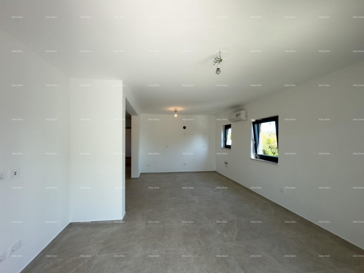 The translation of the title 13