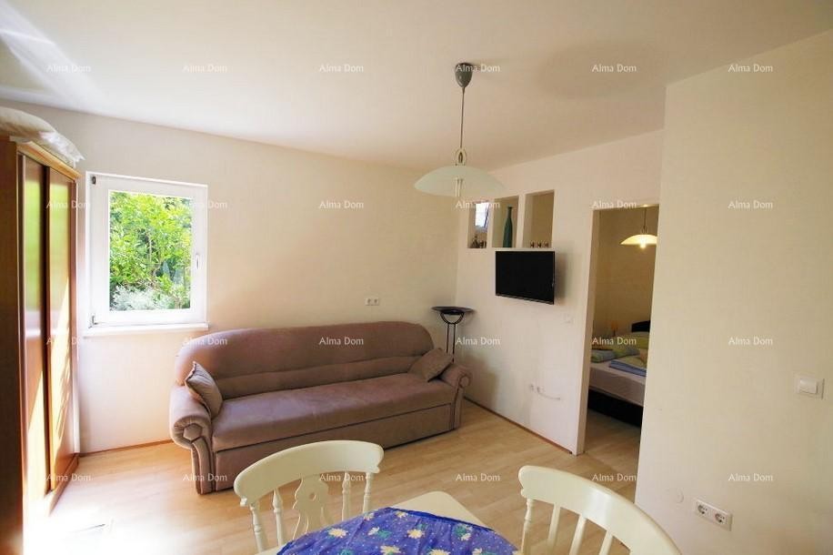 Labin, Apartmajska hiša s bazenom in pogledom na morje 15