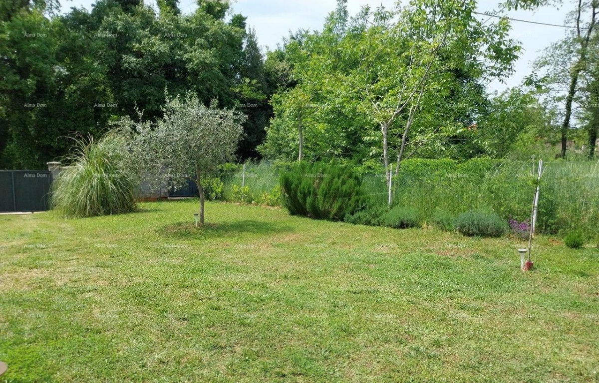 Plot Brtonigla 3