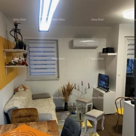 MAREDA – Novigrad | Urejen enosobni stan 32 m², 300 m od morja 4