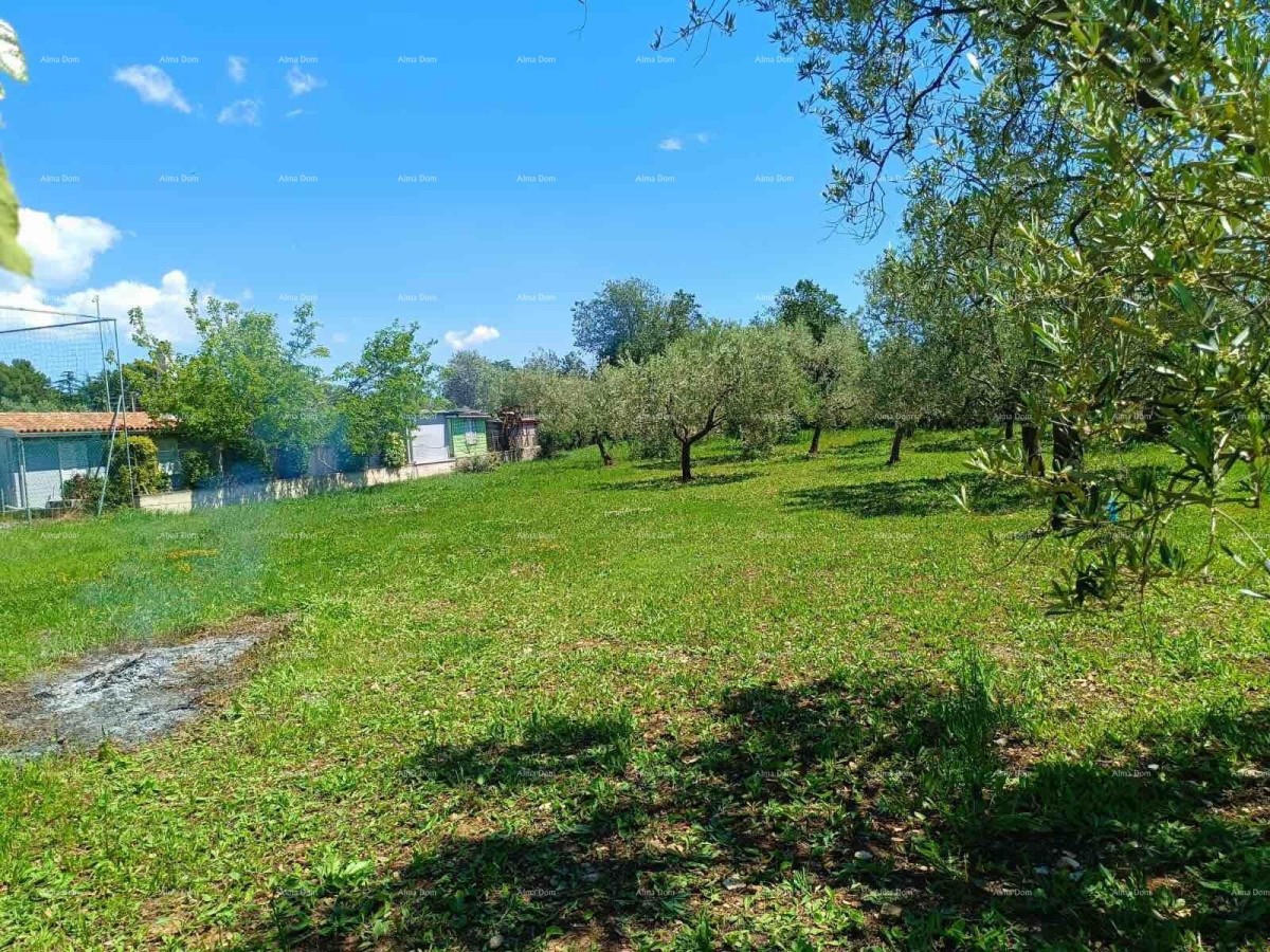 ПЕРОЙ – СЕЛЬСКОХОЗЯЙСТВЕННАЯ ЗЕМЛЯ 2.715 м² У БЕРЕГА МОРЯ 5