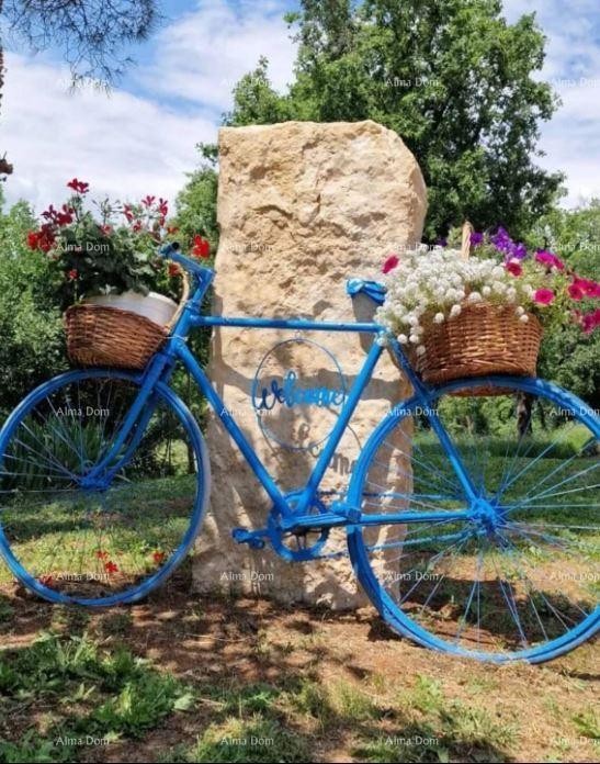 Renovated Istrian stone house with swimming pool 10