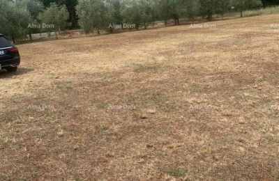 Terreno Edificabile Vicino a Brtonigla – 2.470 m²