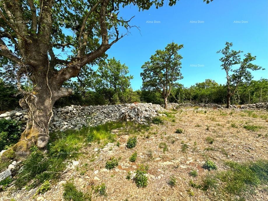For sale is an attractive building plot with a beautiful sea view, ideally located in Sv. Lovreč Labinskom 2