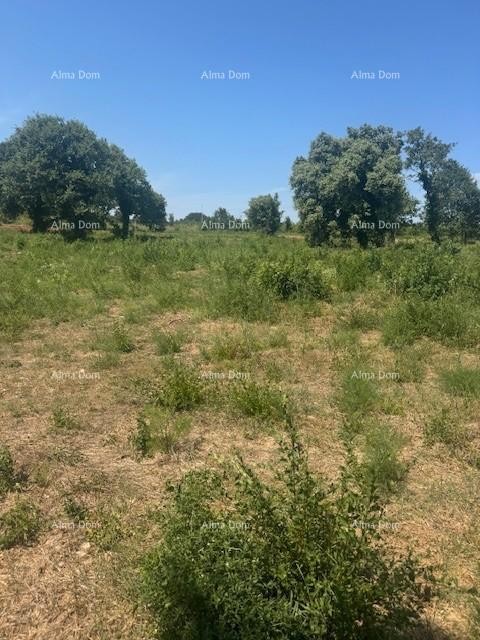 Land of 4000 m² in Ližnjan, T2 zone 1